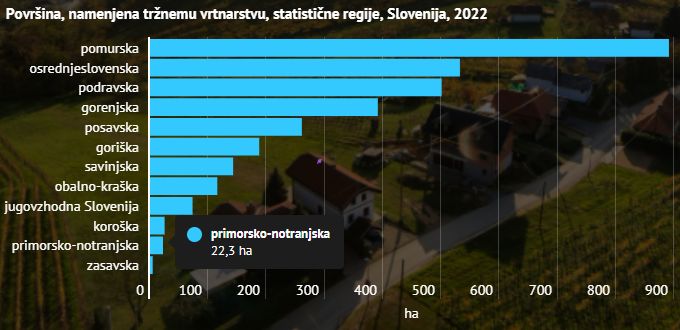 Površina, namenjena tržnemu vrtnarstvu